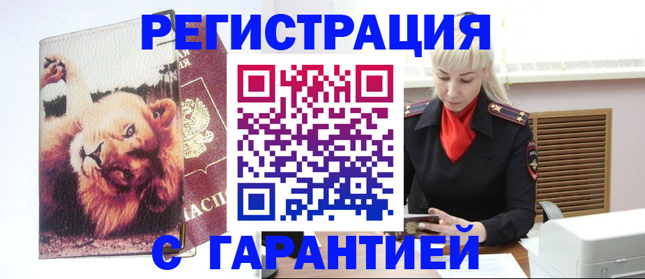 прописка от собственника в Новопавловске